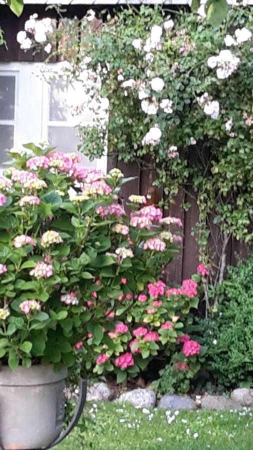 Schoene Ferienwohnung Im Alten Gasthaus In Stoltebuell Bagian luar foto